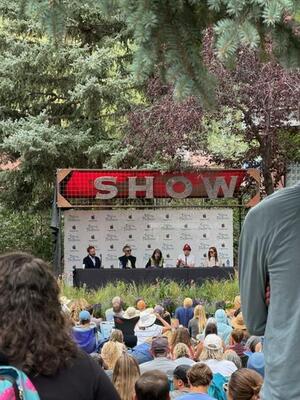 Panel at Telluride.jpg