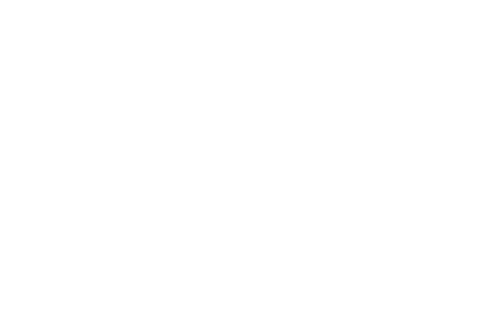 Plum Media logo_white_vert-2