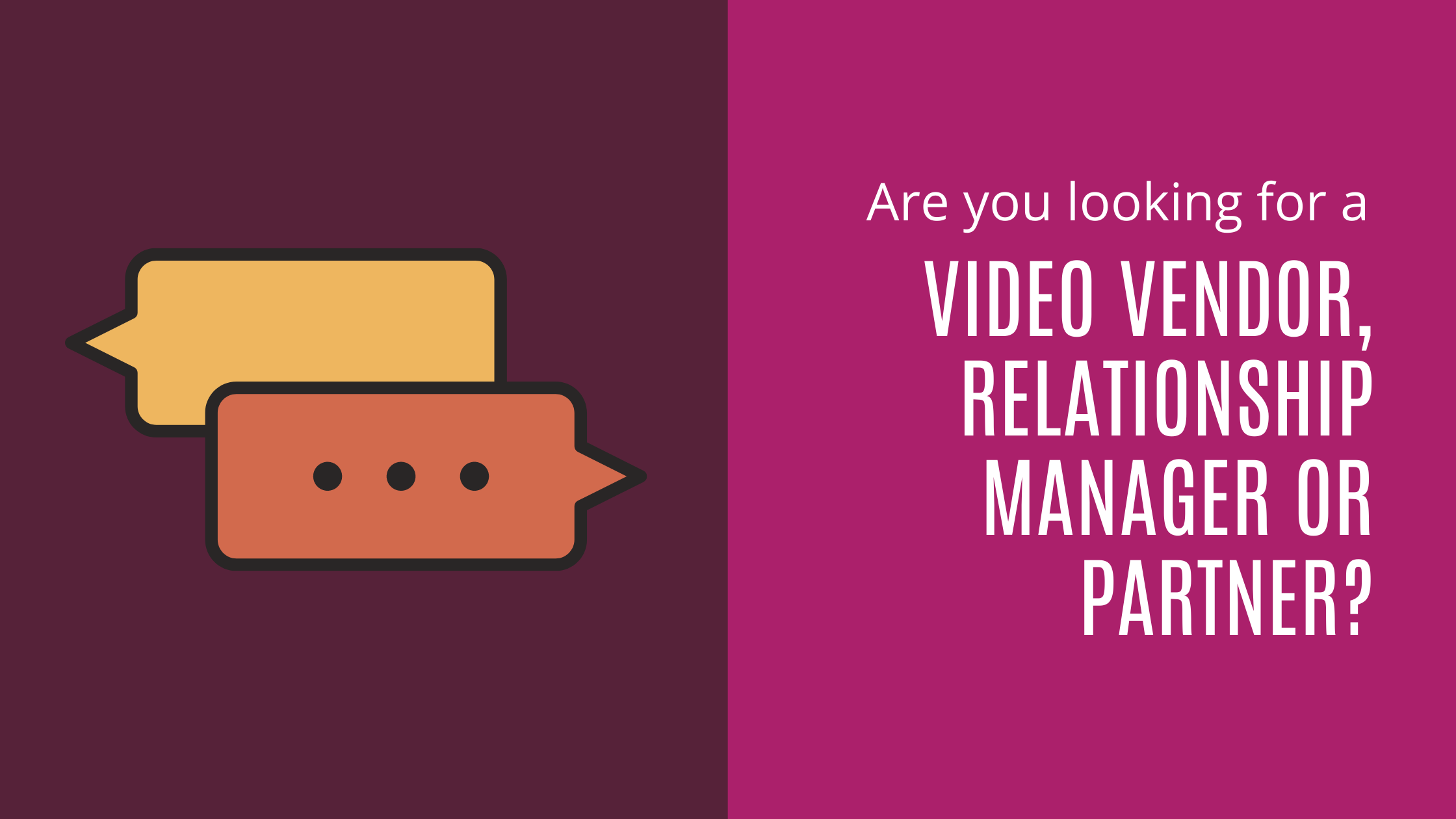 VIDEO VENDOR, RELATIONSHIP MANAGER OR PARTNER